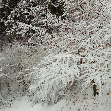 La Casetta Gialla Appartamento *