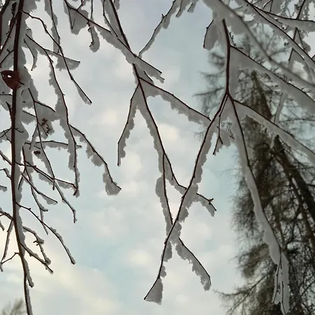 La Casetta Gialla Pieve di Cadore